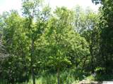 707 Bellevue Boulevard - Photo 41