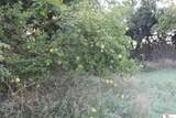 3612 Kenosha Road - Photo 49