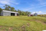 18702 Pflug Road - Photo 11