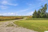 18702 Pflug Road - Photo 13