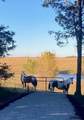 2408 County Road W Road - Photo 67