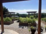 36941 Timber Ridge Drive - Photo 4