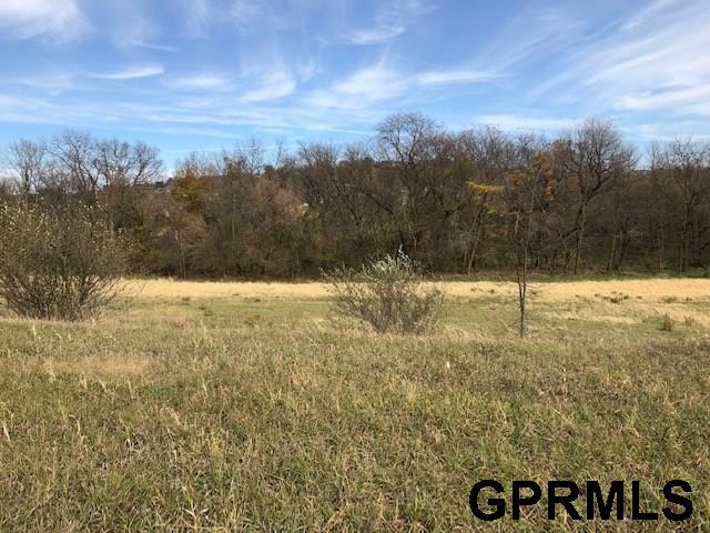 10140 Cottonwood Creek Boulevard - Photo 1