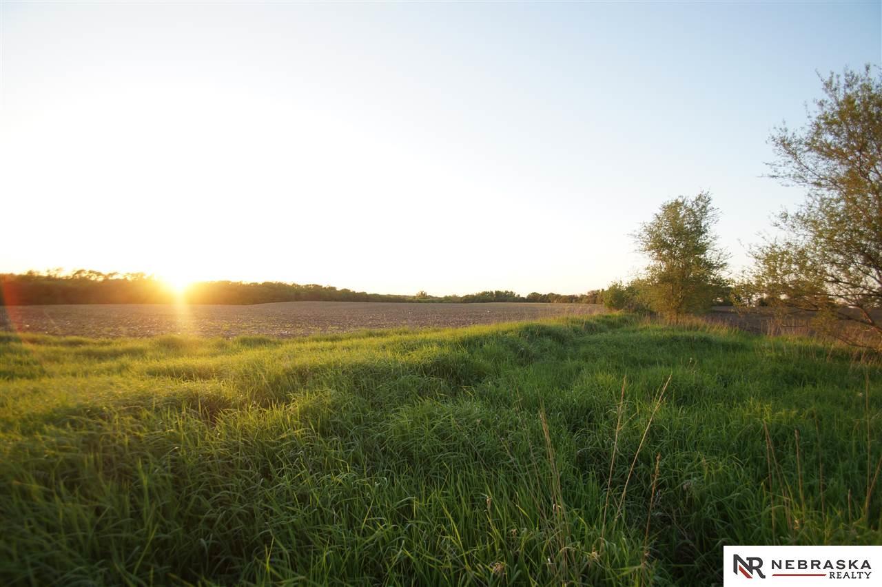 40 Acres Linden Drive - Photo 1