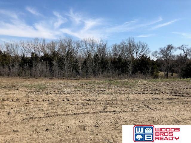 9689 Topher Boulevard - Photo 1