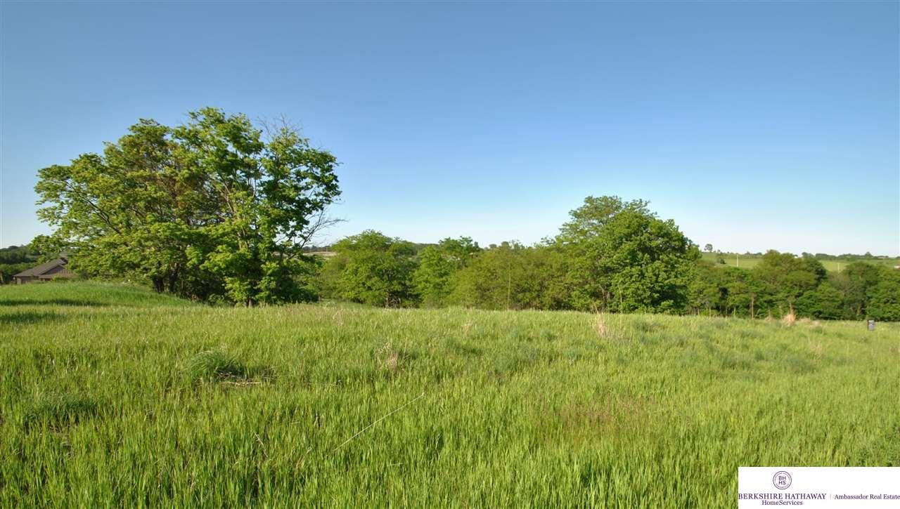 46 CR 37 Cottonwood Creek - Photo 1