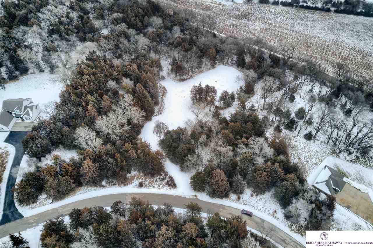 21114 Riha Road - Photo 1