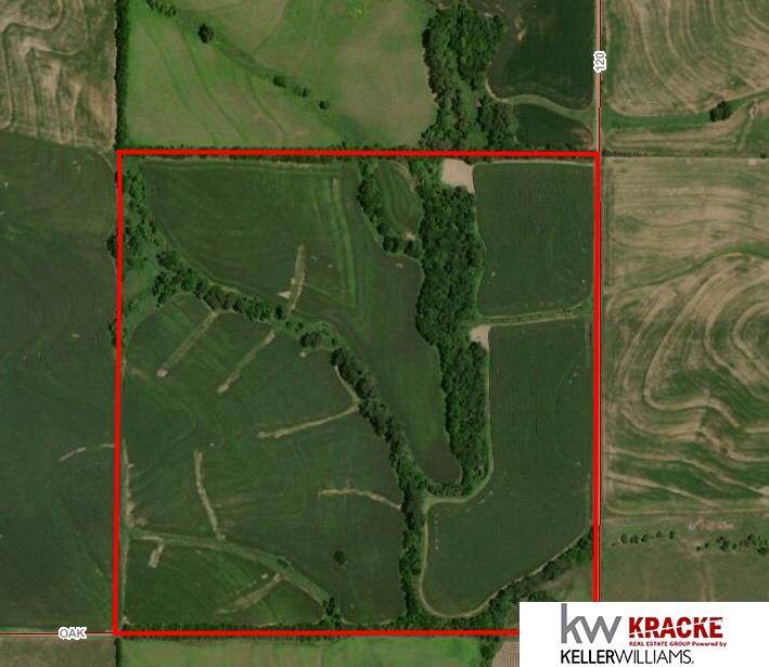 Oak Rd & S 120 Road - Photo 1