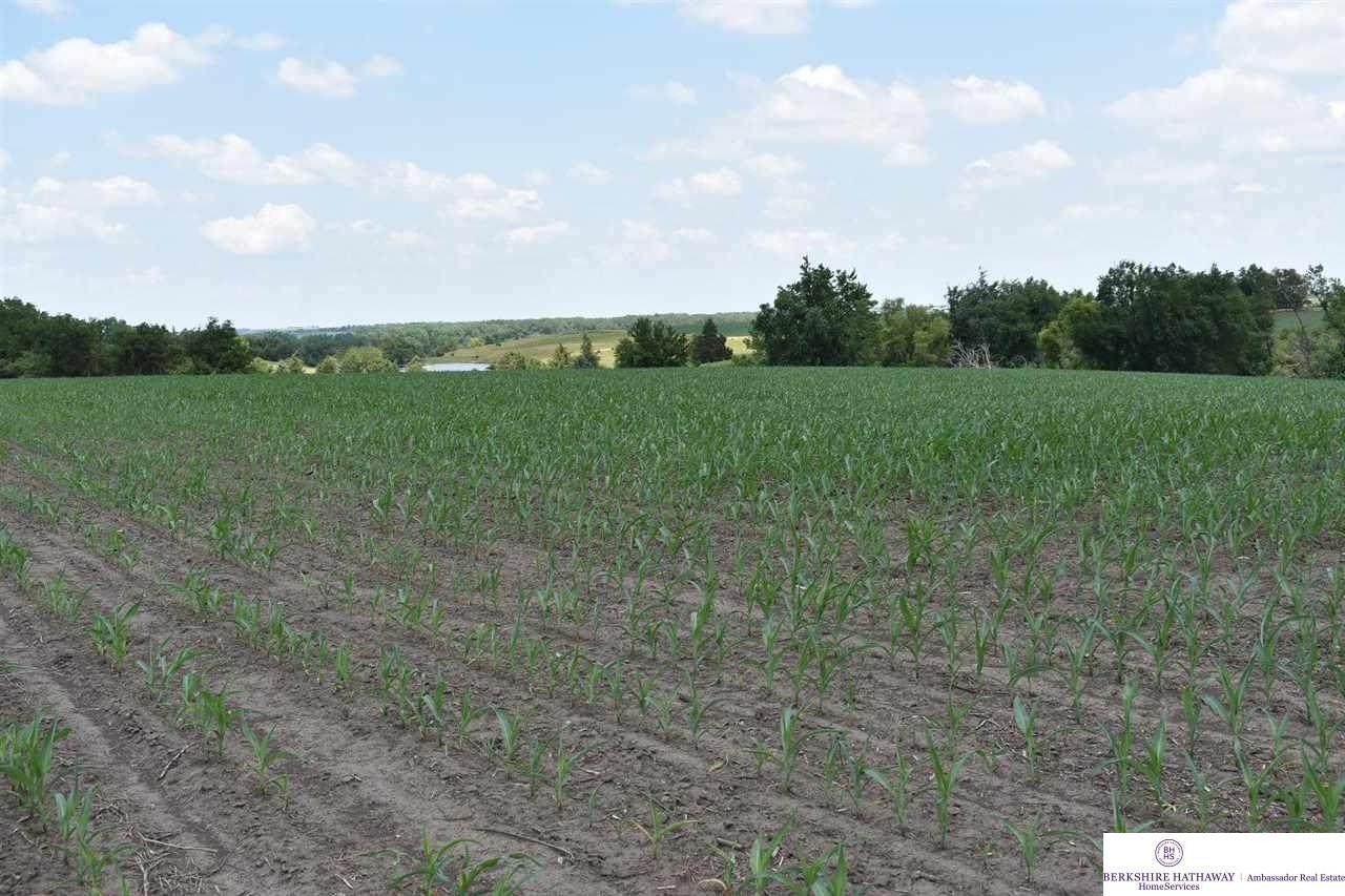 County Road 14 - Photo 1