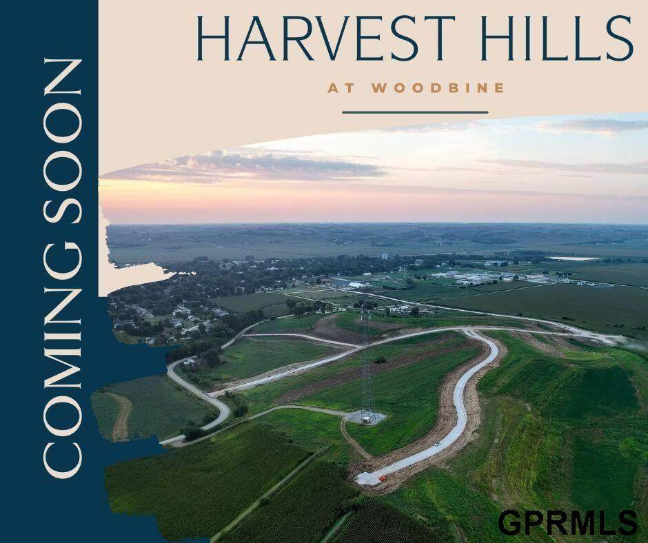 904 Harvest Hills Drive - Photo 1
