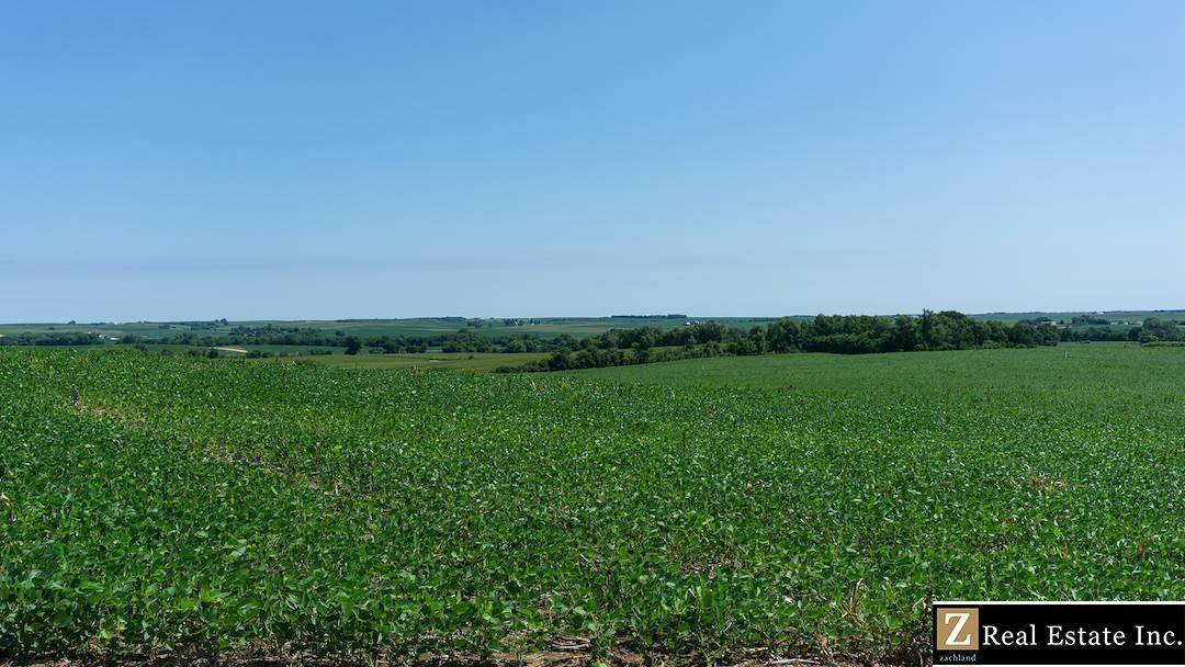 Parcel 6 Saunders County Road - Photo 1