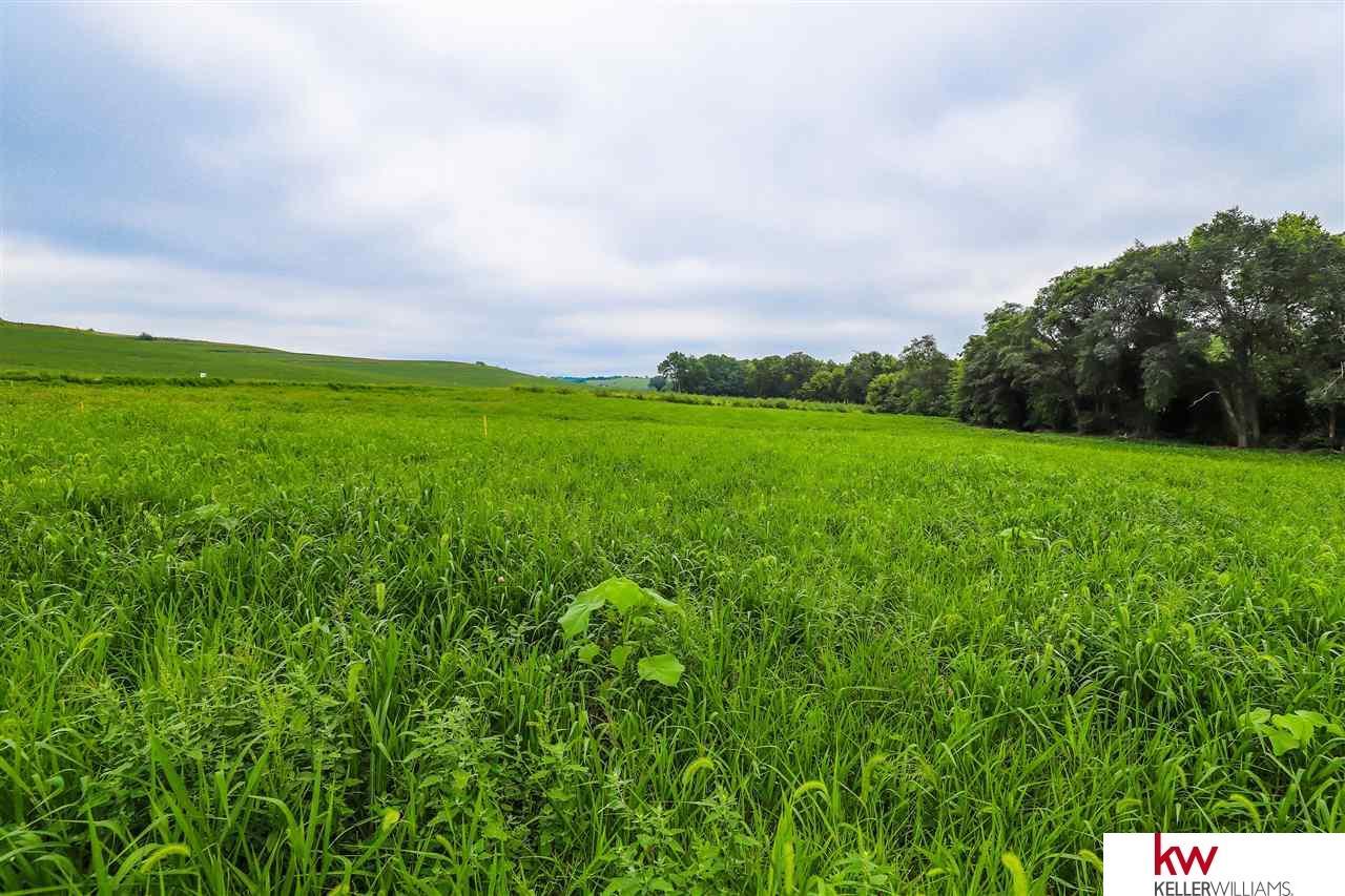 Lot 8 Hidden Fawn Acres County Road - Photo 1