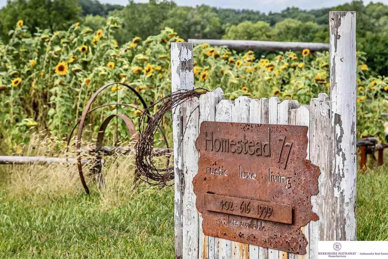 Lot 11 Homestead 77 - Photo 1