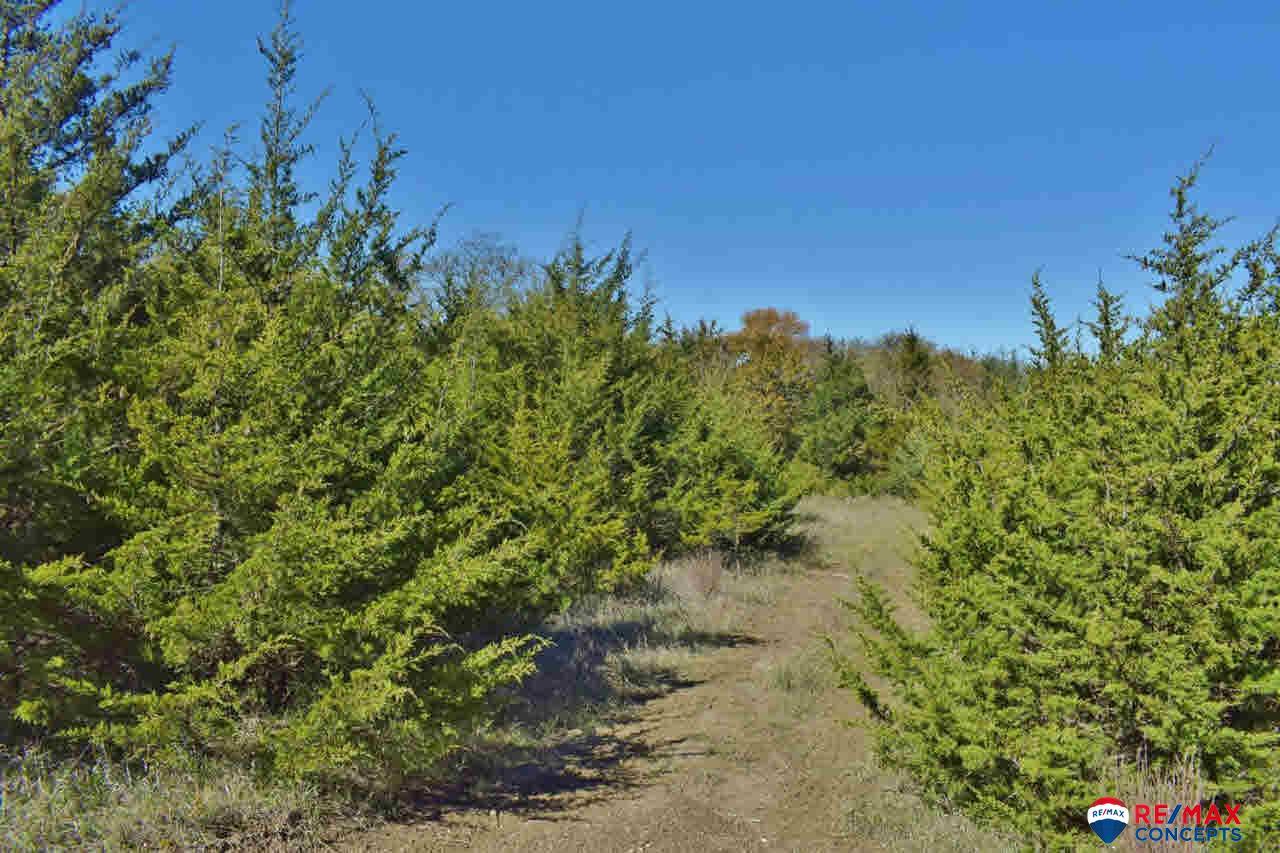 2300(TBD) Myhill Lane - Photo 1
