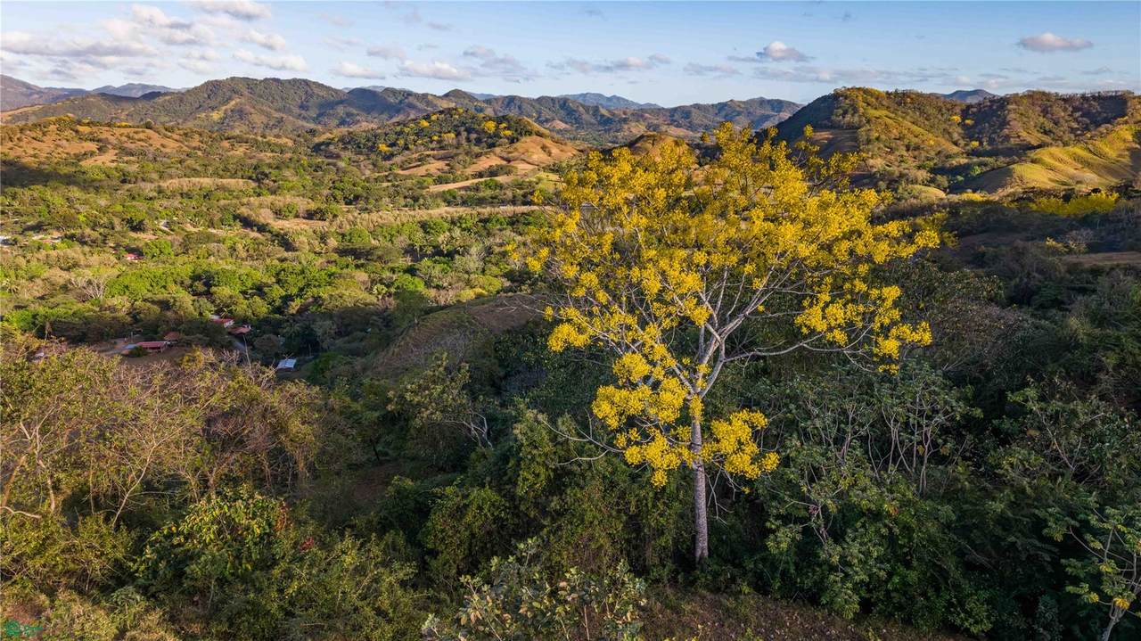 Lote Vista Verde Belen - Photo 1
