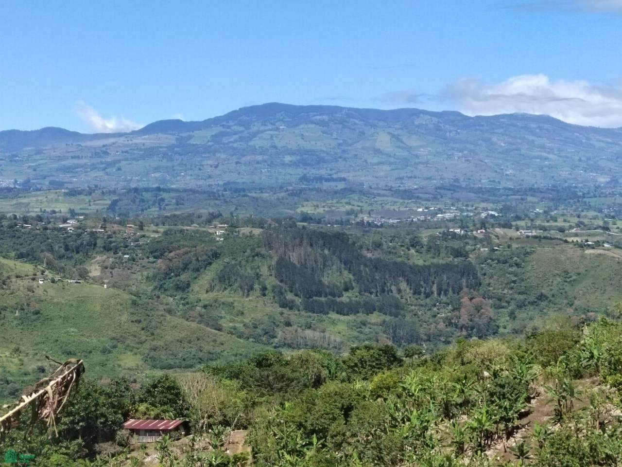 https://bt-photos.global.ssl.fastly.net/omni/1280_boomver_2_CR26006690M-2.jpg