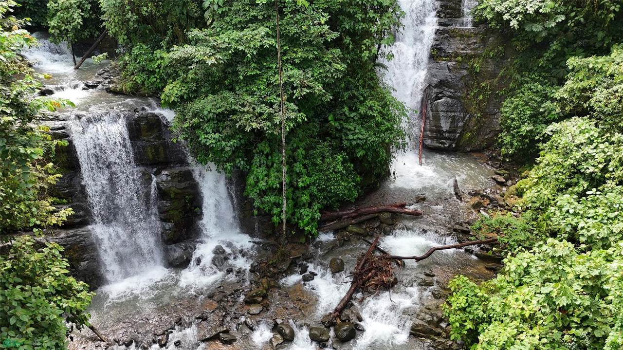  Waterfall Estate, Dos Bocas, Springs, Dominical - Photo 1