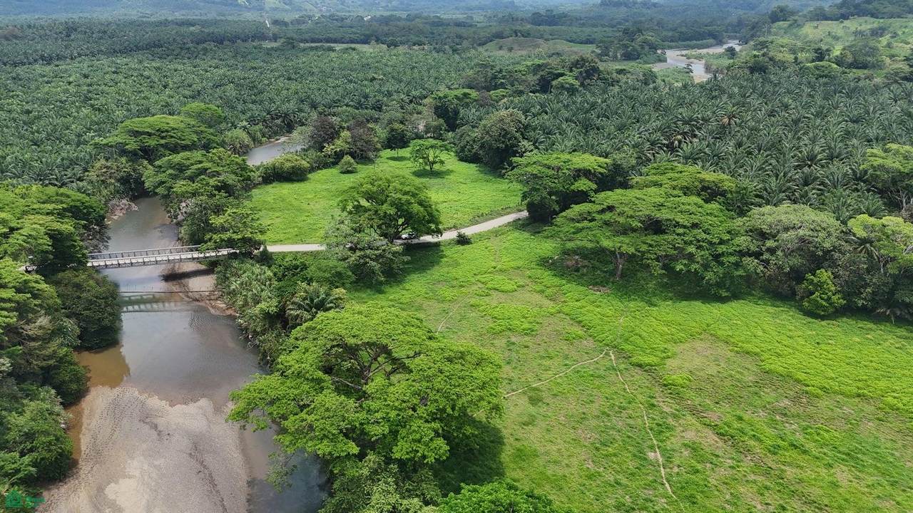  Riverside, Mountain View, 10 Hectares, Finca Anita - Photo 1