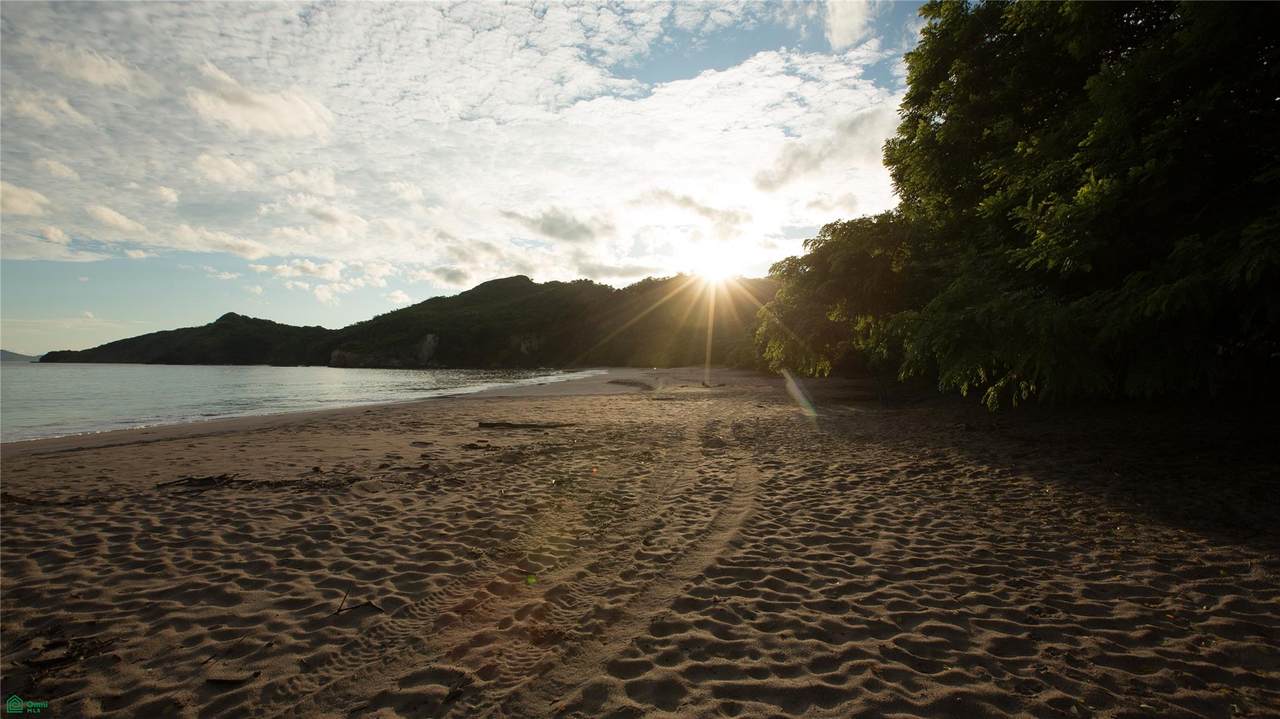  Punta Sabana And Mar Serena - Photo 1