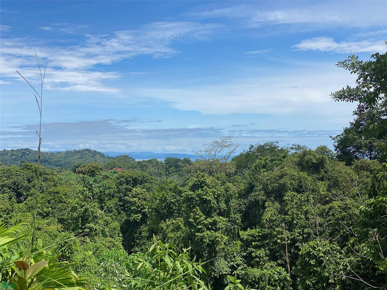 Exquisite Jungle Property With Ocean View, Ojochal - Photo 1