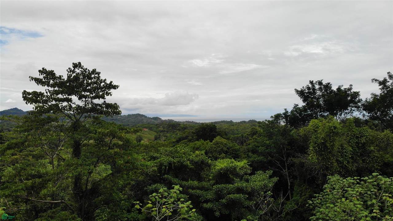https://bt-photos.global.ssl.fastly.net/omni/1280_boomver_2_CR26008837M-2.jpg