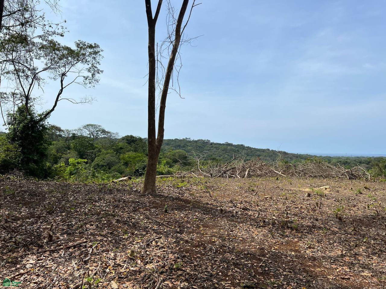 https://bt-photos.global.ssl.fastly.net/omni/1280_boomver_2_CR26009208M-2.jpg