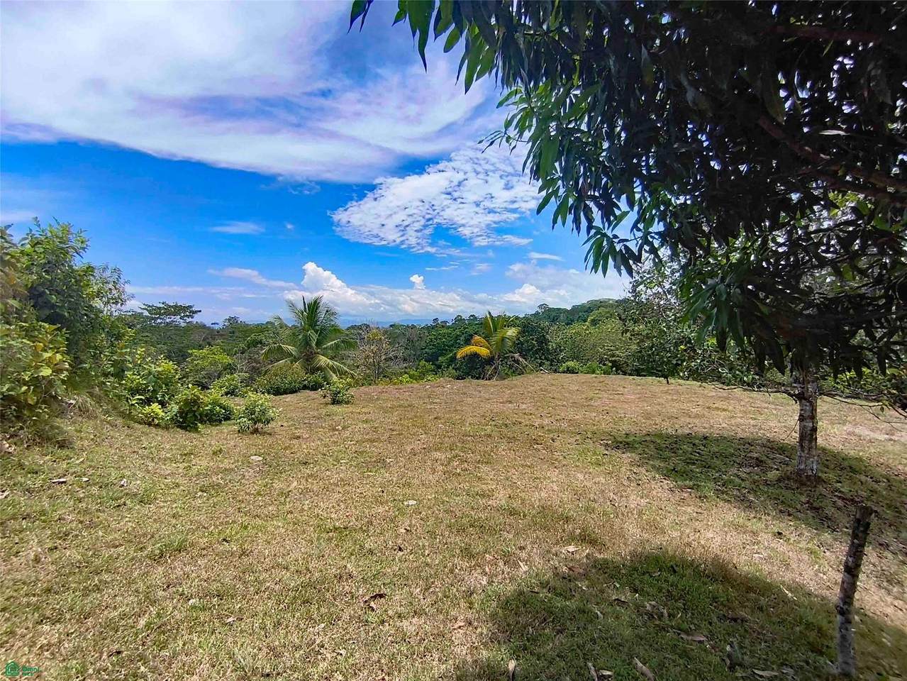  Calle 611 - Photo 1