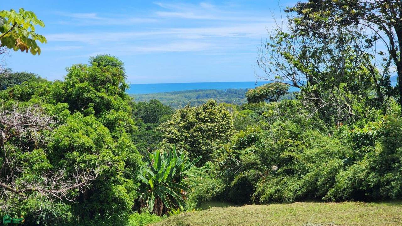 https://bt-photos.global.ssl.fastly.net/omni/1280_boomver_2_CR26009504M-2.jpg