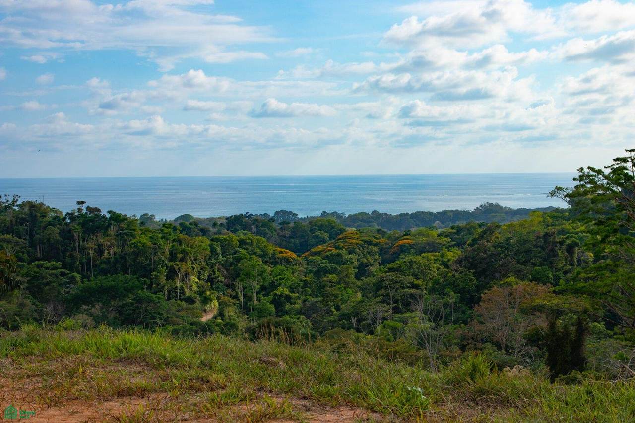  Uvita - Photo 1