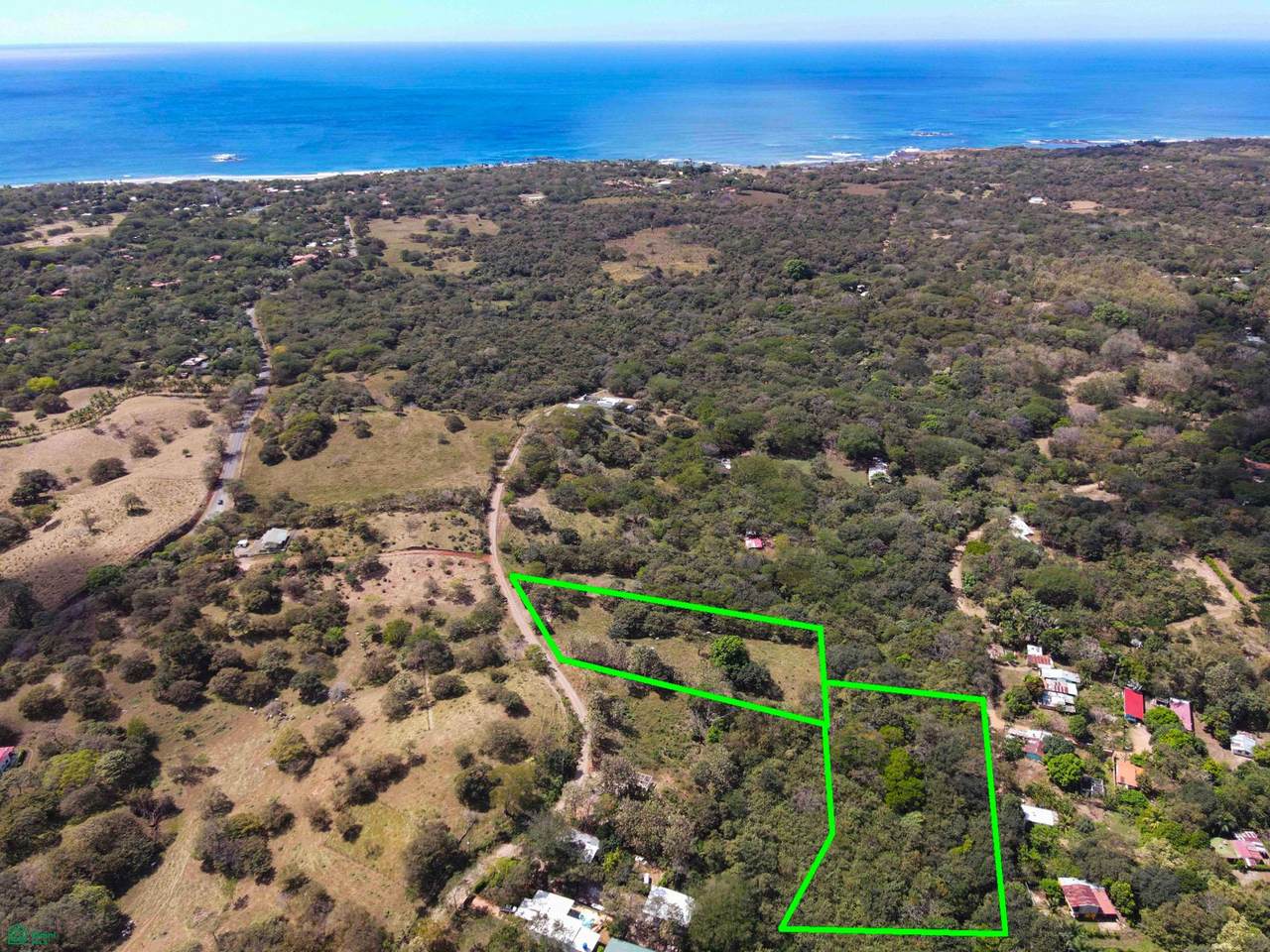  Four Acres Of Paradise - Photo 1
