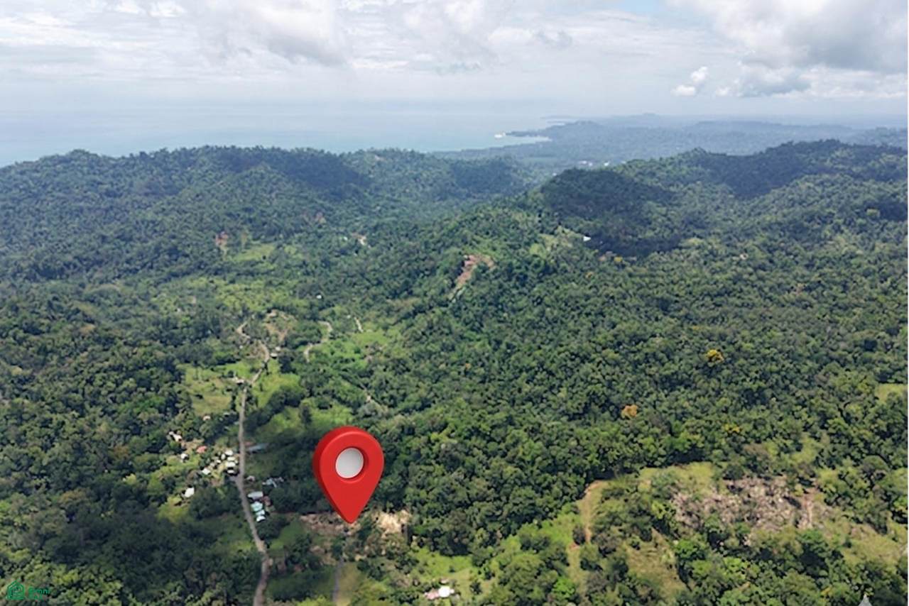 1 CarbóN - Photo 1