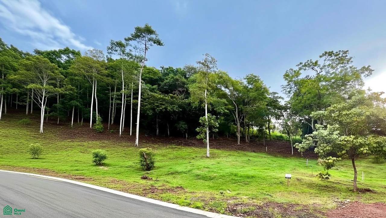 7 Prime 0.28-Acre Corner Lot in Alma Verde Gated Com - Photo 1
