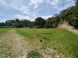  Mariposario Street - Photo 12