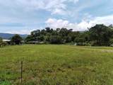  Mariposario Street - Photo 16