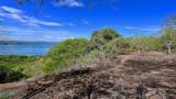  Reserva Papagayo - Photo 6