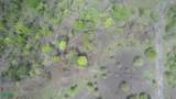  Papagayo 1Ha Ocean View Lot - Photo 3