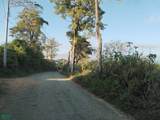  Ronnys Place - Photo 1