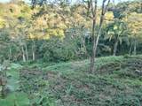  Ronnys Place - Photo 15