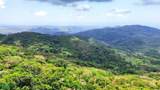  Eco Living Estate - Photo 20
