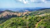  Eco Living Estate - Photo 21