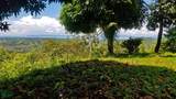  La Florida De Golfito - Photo 15