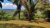  La Florida De Golfito - Photo 19