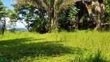  La Florida De Golfito - Photo 2