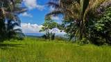  La Florida De Golfito - Photo 3