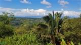  La Florida De Golfito - Photo 5