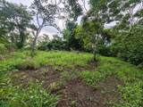  Finca Nandayure - Photo 5
