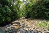  Finca Dos Bocas - Photo 11