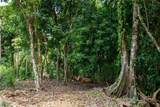  Finca Dos Bocas - Photo 13