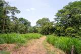  Finca Dos Bocas - Photo 14
