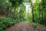  Finca Dos Bocas - Photo 27